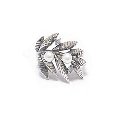 Серебряное кольцо SG95010164 цена и информация | Кольца | 220.lv