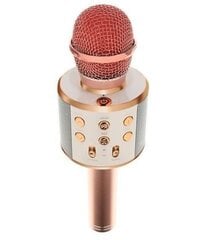 Karaoke mikrofons - skaļrunis ar balss maiņas efektiem, WS-858 цена и информация | Микрофоны | 220.lv