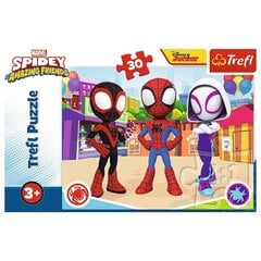 Pizle Trefl Zirnekļcilvēks Spidey, 30 d. cena un informācija | Puzles, 3D puzles | 220.lv