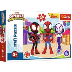 Pizle Trefl Zirnekļcilvēks Spidey, 30 d. cena un informācija | Puzles, 3D puzles | 220.lv