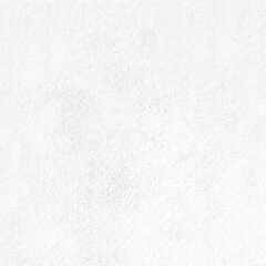 Флизелин нетканый неклеевой RainBow® TR40040RE 40 г/м² 90см натуральный белый цена и информация | Ткани | 220.lv