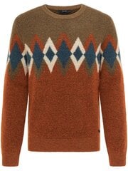 Мужской свитер Pierre Cardin 55680/000/12563 цена и информация | Мужские свитера | 220.lv