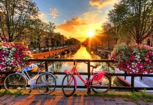 Koka puzle Amsterdamas velosipēdi, 300 gab. cena un informācija | Galda spēles | 220.lv