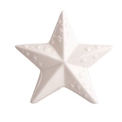 Фарфоровая фигурка звезды, 13x5,5x12 см цена и информация | Детали интерьера | 220.lv