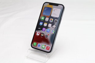 Apple iPhone 12 Pro Max, 128GB, okeāna zils, lietots A cena un informācija | Mobilie telefoni | 220.lv