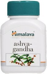Uztura bagātinātājs Himalaya "Ashvagandha", 60 kapsulas, MP-816/20 cena un informācija | Vitamīni, preparāti, uztura bagātinātāji skaistumam | 220.lv