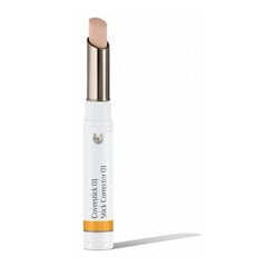 Dr. Hauschka Cover stick 01 natural, korektors 2g цена и информация | Пудры, базы под макияж | 220.lv