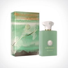 Парфюмированная вода Amouage Меандр EDP для женщин/мужчин, 100 мл цена и информация | Женские духи | 220.lv