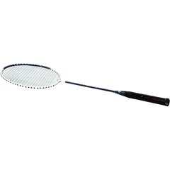 Badmintona rakete Best Sporting 200 XT cena un informācija | Badmintons | 220.lv