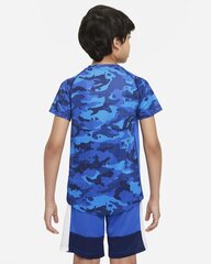 Футболка Nike цена и информация | Рубашки для мальчиков | 220.lv