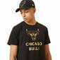 Vīriešu Krekls ar Īsām Piedurknēm New Era Chicago Bulls Melns S6439714 цена и информация | Sporta apģērbs vīriešiem | 220.lv