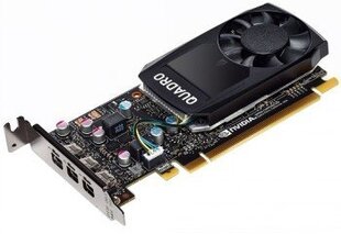 Lenovo Quadro P400 цена и информация | Видеокарты (GPU) | 220.lv