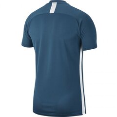 T-krekls vīriešiem Nike, zils cena un informācija | Vīriešu T-krekli | 220.lv