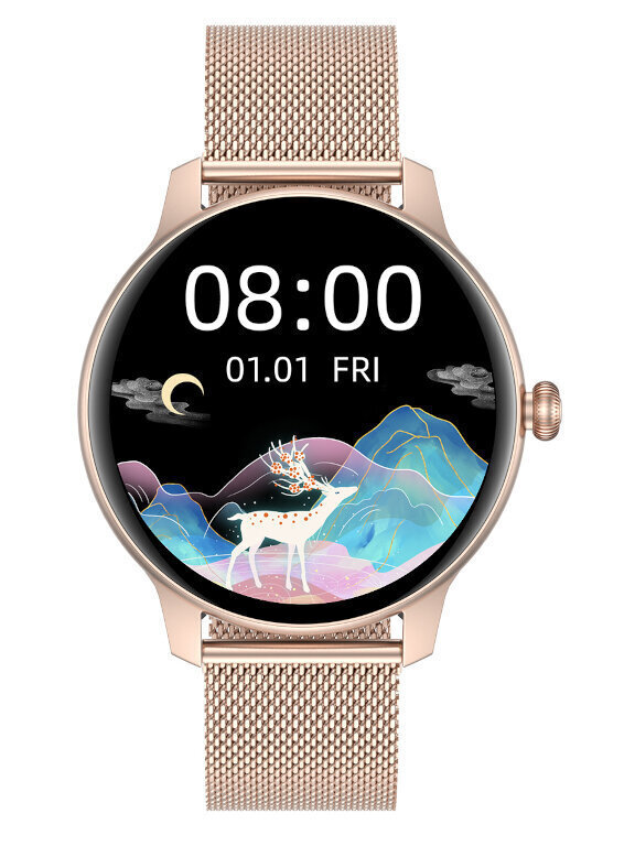 G. Rossi SW020 Rose Gold cena un informācija | Viedpulksteņi (smartwatch) | 220.lv