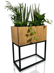 Вазон для растений - Loft Fiorino дубовый 42x22x50см цена и информация | Подставки для цветов, держатели для вазонов | 220.lv