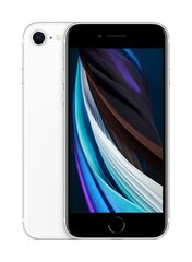 Apple iPhone SE 2.gen, 64GB, balts, lietots A цена и информация | Мобильные телефоны | 220.lv