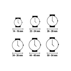 Pulkstenis XTRESS XPA1033-45 cena un informācija | Vīriešu pulksteņi | 220.lv