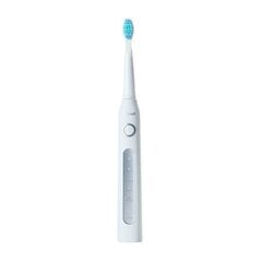 FairyWill Sonic toothbrush with head set 507 (pink) цена и информация | Электрические зубные щетки | 220.lv