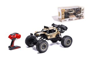 RC auto ar tālvadības pulti Rock Crawler Metal 1:8 2.4 GHz cena un informācija | Rotaļlietas zēniem | 220.lv