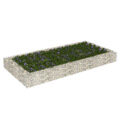 vidaXL gabions, augstā puķu kaste, cinkots tērauds, 200x100x20 cm цена и информация | Ящики для балкона | 220.lv