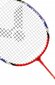 Badmintona komplekts, VICTOR цена и информация | Badmintons | 220.lv