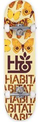Скейтборд Habitat Insecta 7.75", оранжевый цена и информация | Скейтборды | 220.lv