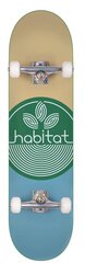 Скейтборд Habitat Leaf Dot, 7,75 ", зеленый цена и информация | Скейтборды | 220.lv