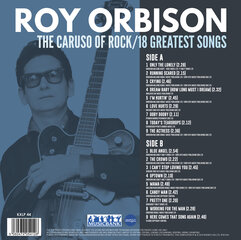 Vinila plate - Roy Orbison cena un informācija | Vinila plates, CD, DVD | 220.lv