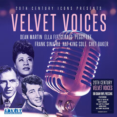 Виниловая пластинка 20th Century Velvet цена и информация | Виниловые пластинки, CD, DVD | 220.lv