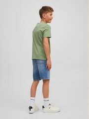 Детская футболка Jack & Jones 12214074*02, зелёная 5715225210107 цена и информация | Рубашки для мальчиков | 220.lv