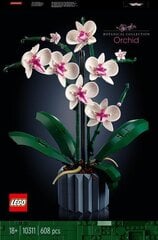 10311 LEGO® Icons Orhideja cena un informācija | Konstruktori | 220.lv