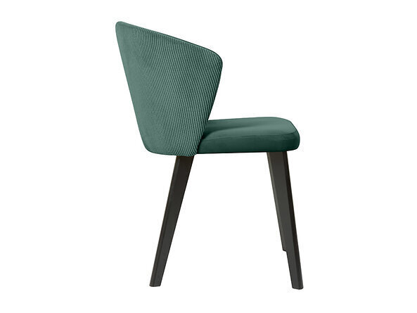 Krēsls BRW Ragit, zaļš cena un informācija | Virtuves un ēdamistabas krēsli | 220.lv