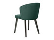 Krēsls BRW Ragit, zaļš cena un informācija | Virtuves un ēdamistabas krēsli | 220.lv