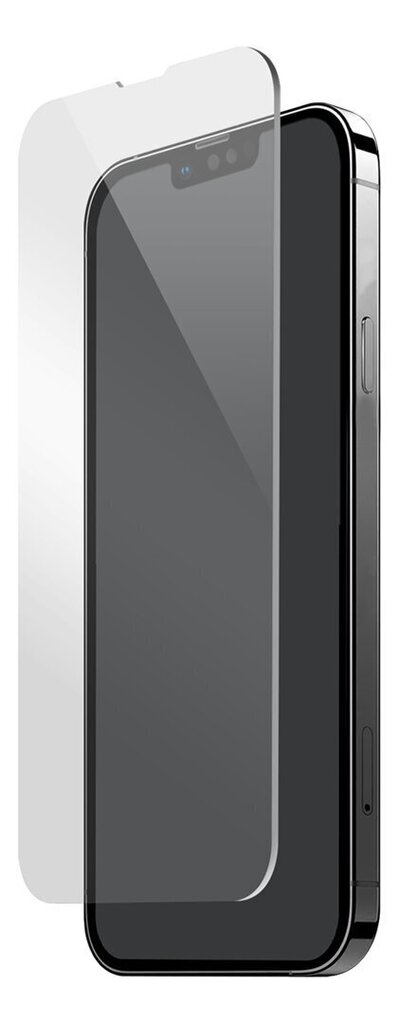 Aizsargstikls DELTACO piemērots Apple iPhone 13 Pro цена и информация | Ekrāna aizsargstikli | 220.lv