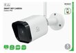 WiFi kamera DELTACO SMART HOME lauko IP65, 2MP, ONVIF, Balta / SH-IPC07 cena un informācija | Novērošanas kameras | 220.lv