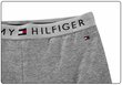 Legingi sievietēm Tommy Hilfiger, pelēki, UW0UW01646 004 28246 cena un informācija | Sporta apģērbs sievietēm | 220.lv