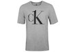 Vīriešu T-krekls Calvin Klein S/S CREW NECK, pelēks, 000NM1903E YG4 28208 cena un informācija | Vīriešu T-krekli | 220.lv