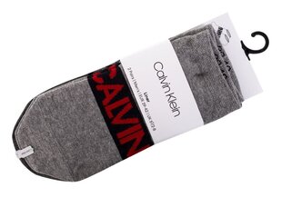 Носки Calvin Klein SOCKS, 2 пары, 100001857 004 27860 цена и информация | Мужские носки | 220.lv