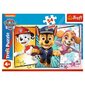 Puzle Trefl Ķepu Patruļa (Paw Patrol), 54 d. цена и информация | Puzles, 3D puzles | 220.lv