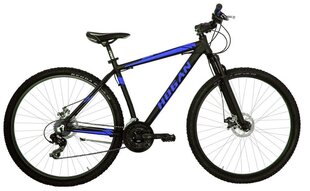 Горный велосипед 29" MTB MAN/BLACK/BLUE 8001446121702 HOGAN цена и информация | Велосипеды | 220.lv