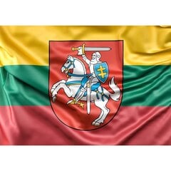 Магнитная наклейка Литовский флаг цена и информация | Декоративные наклейки | 220.lv