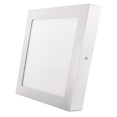 Светодиодная потолочная панель 224x244 мм, квадратная, белая, с креплением 18ВТ IP20 NW W цена и информация | Монтируемые светильники, светодиодные панели | 220.lv