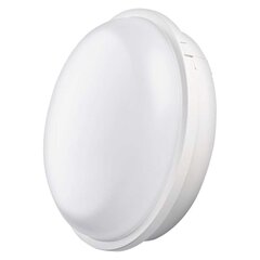 LED griestu, sienas gaismeklis ovāls balts IP65 20W NW цена и информация | Настенные светильники | 220.lv