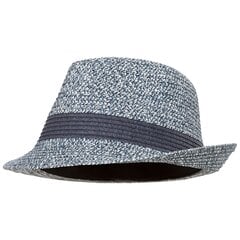 Мужская шапка Trespass  Evanesce - Unisex Adult Trilby Hat цена и информация | Мужские шарфы, шапки, перчатки | 220.lv