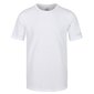 Vīriešu T-krekls Tait Lightweight Active T-Shirt 5057538940365 цена и информация | Vīriešu T-krekli | 220.lv