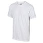 Vīriešu T-krekls Tait Lightweight Active T-Shirt 5057538940365 цена и информация | Vīriešu T-krekli | 220.lv