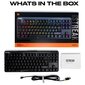 Fnatic miniStreak RGB Tenkeyless Silver Speed, US цена и информация | Klaviatūras | 220.lv