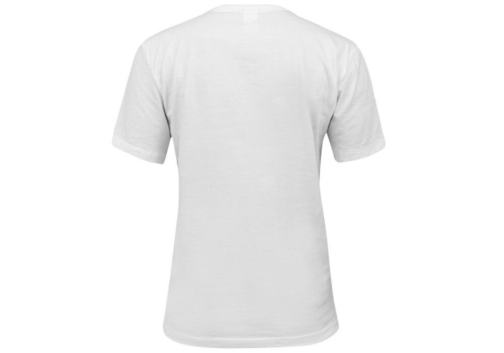 Sieviešu T-krekls Calvin Klein T-SHIRT SS NECK CREW WHITE QS6105E 100 26325 cena un informācija | T-krekli sievietēm | 220.lv