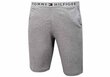 Īsi šorti Tommy Hilfiger JERSEY SHORT GRAY UM0UM01203 004 26109 cena un informācija | Vīriešu šorti | 220.lv