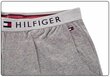 Īsi šorti Tommy Hilfiger JERSEY SHORT GRAY UM0UM01203 004 26109 cena un informācija | Vīriešu šorti | 220.lv